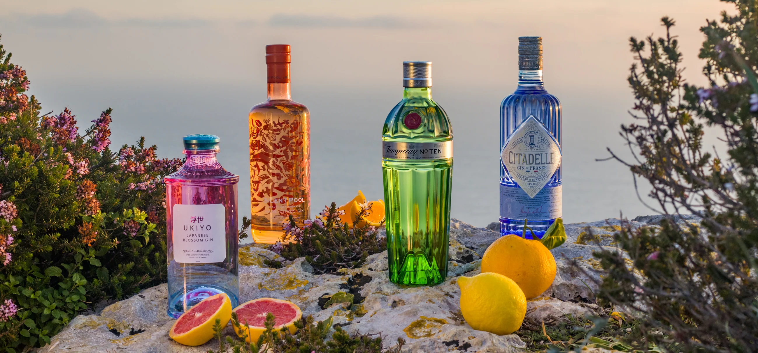 Premium Spirits at Wholesale Prices